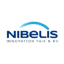 Nibelis logo
