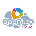 Openflex logo