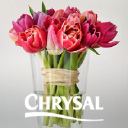 Chrysal Professional Glory Flower and Foliage Finish logo