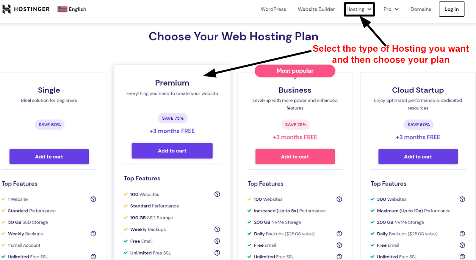 Hostinger capture d'écran