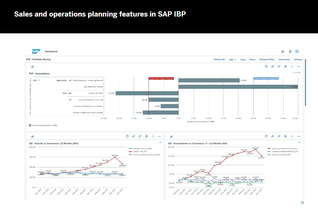 SAP Integrated Business Planning for Supply Chain Screenshot