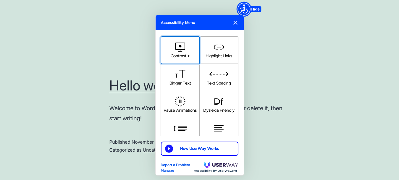 UserWay Accessibility Widget capture d'écran